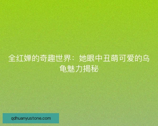 全红婵的奇趣世界：她眼中丑萌可爱的乌龟魅力揭秘